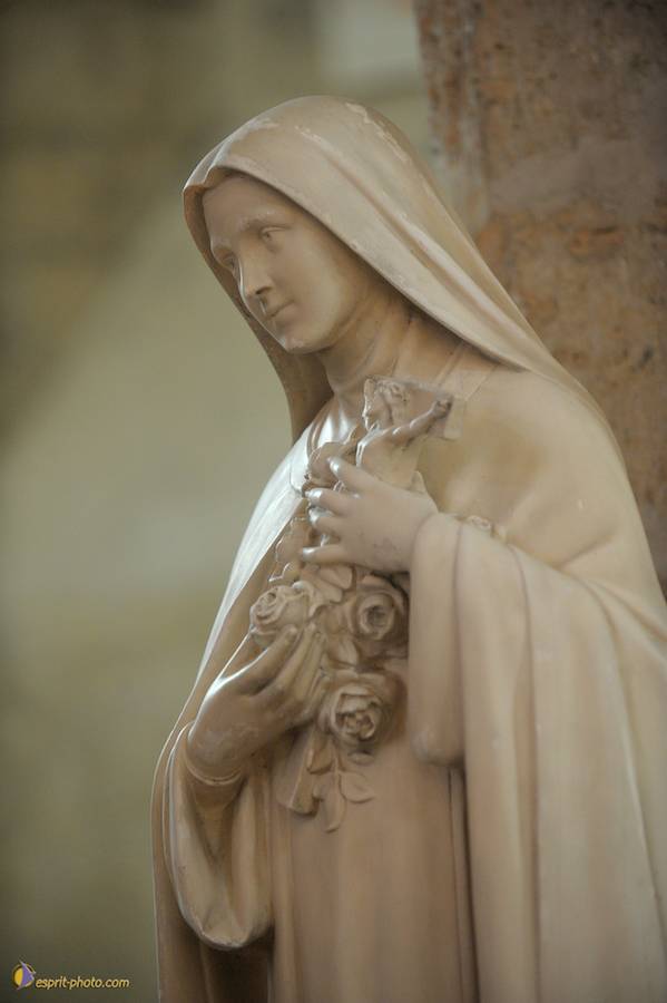 Nom de l'image : D30099789_1_(c)Norbert-JUNG — Description :